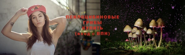 таблы Корсаков